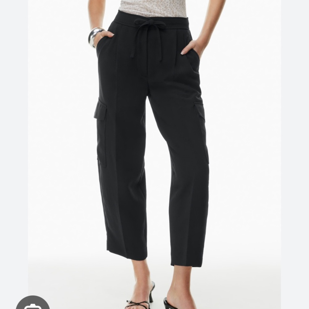 Aritzia Wilfred Shift Cargo Pants NWOT